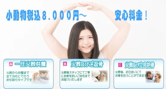 ���y�b�g�Α��v�����A��C�Α����{�E�Α����ԍ��E�Α����������E����3�̉Α��v����